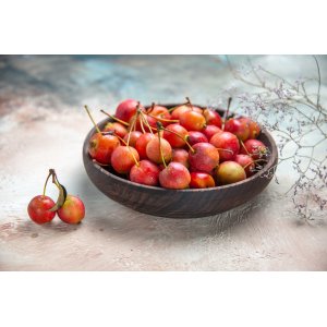 Čerešňa vtáčia (Prunus avium) ´VEGA´- stredne skorá, výška 150-180 cm, voľnokorenná